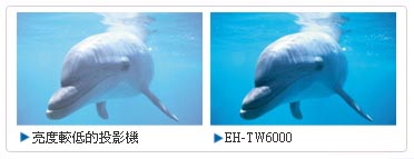 20120216053826194