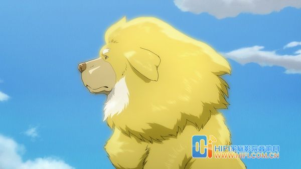 《藏獒多吉》酥油茶藏獒犬 凸显浓浓西藏情 藏獒多吉