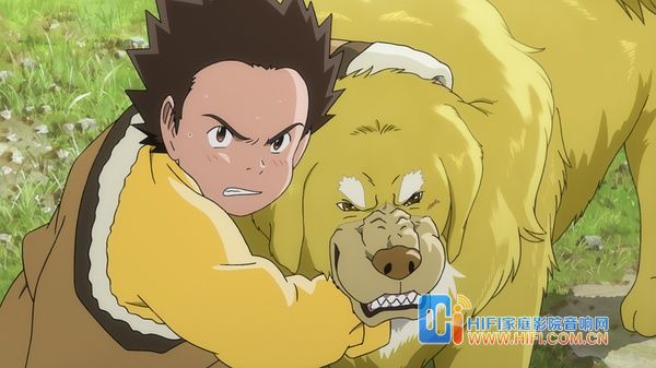 《藏獒多吉》酥油茶藏獒犬 凸显浓浓西藏情 藏獒多吉