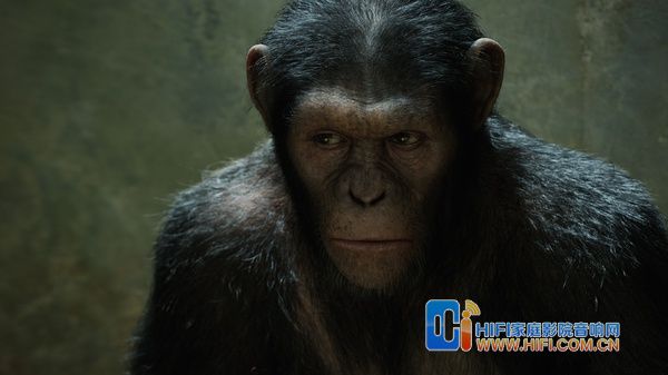 《猩球崛起》凯撒用智慧统治群猩 猩球崛起