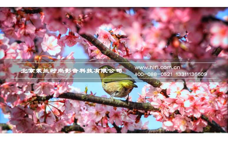 极致影像•精细淬炼 明基4K家用投影机W11000评测 20170526043417148