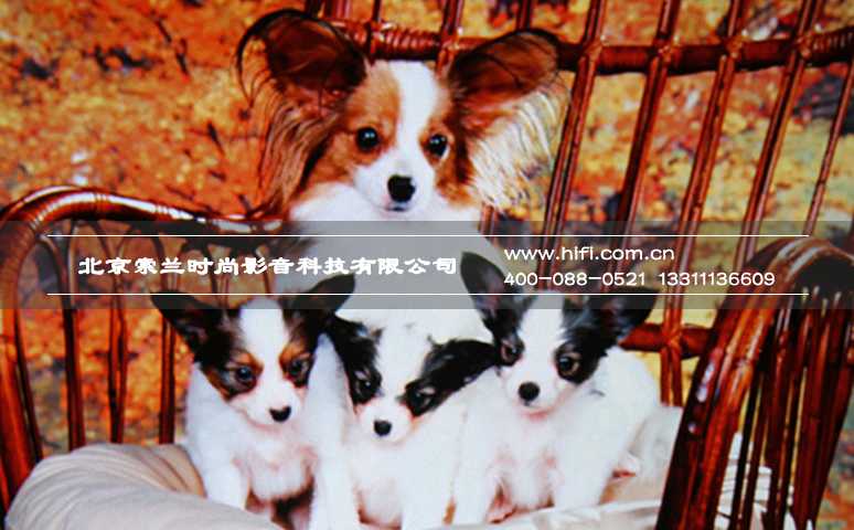 奥图码HD260S智能家用投影机评测 20170527014038624