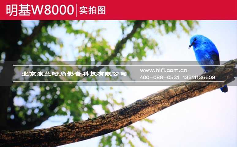 色准大师系列终极现身 明基W8000家庭影院投影机测评 20170527020927534