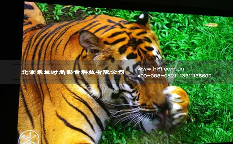 CIT2016 爱普生家庭影院投影机带你体验震撼视觉之旅 20170527111816527