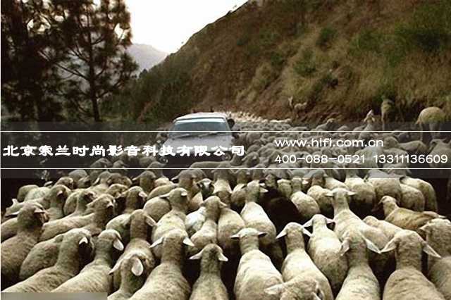你的身体还吃得消吗?黄金周对健康的影响 20170607032025868
