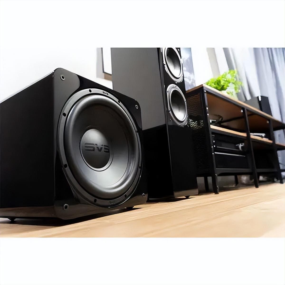 SVS SB-1000 Pro低音炮 20220829044541369