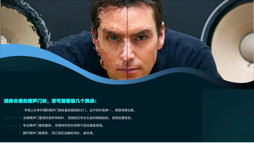 声盾隔音门全系列图册