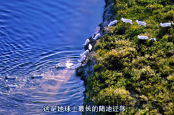 高清对决奥图码HD82对比三洋Z3000评测 \