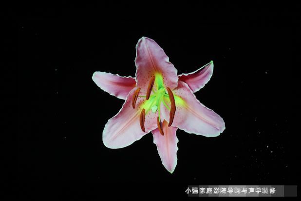 高清入门新境界明基W1200投影实景呈现 明基家用投影机