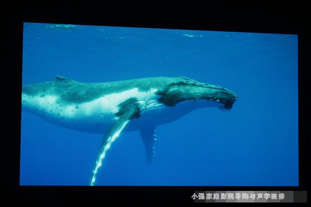 高清入门新境界明基W1200投影实景呈现 明基家用投影机